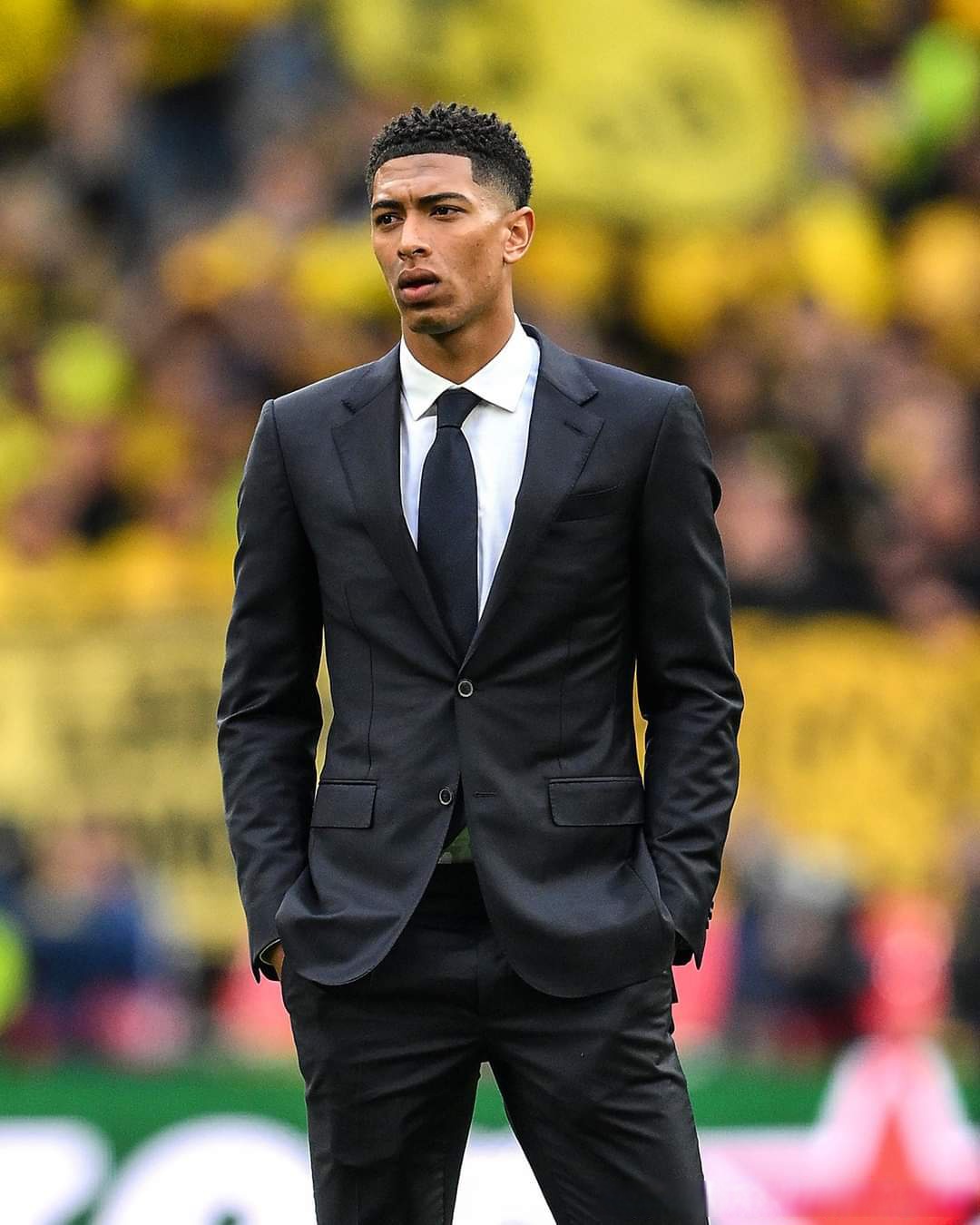 真正落地仍 真正落地仍